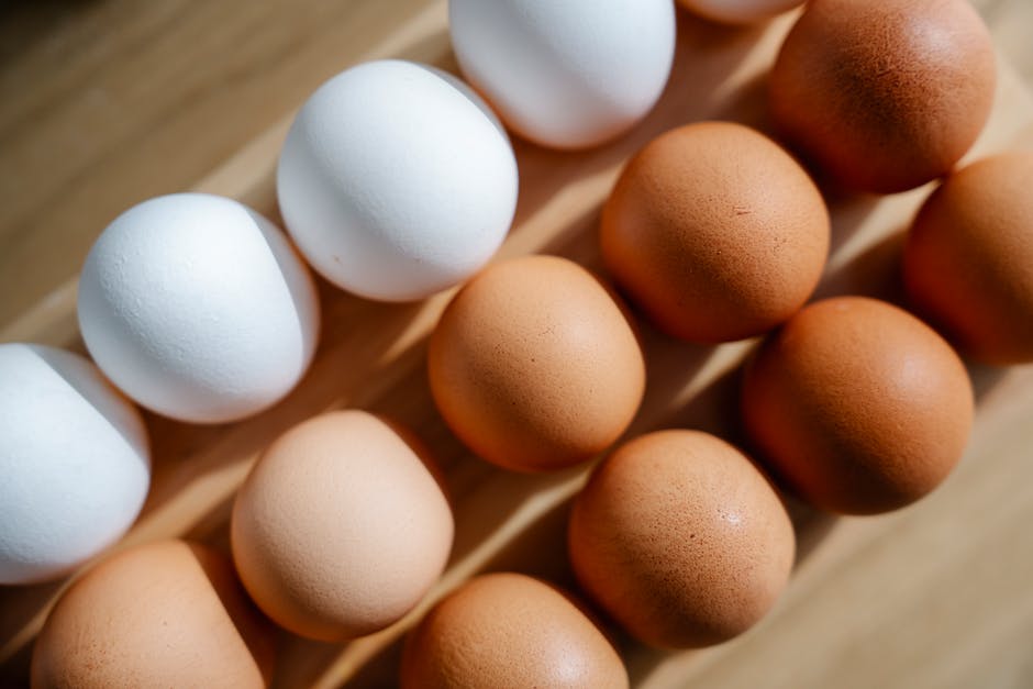 Variety of high protein foods including chicken, eggs, and fish